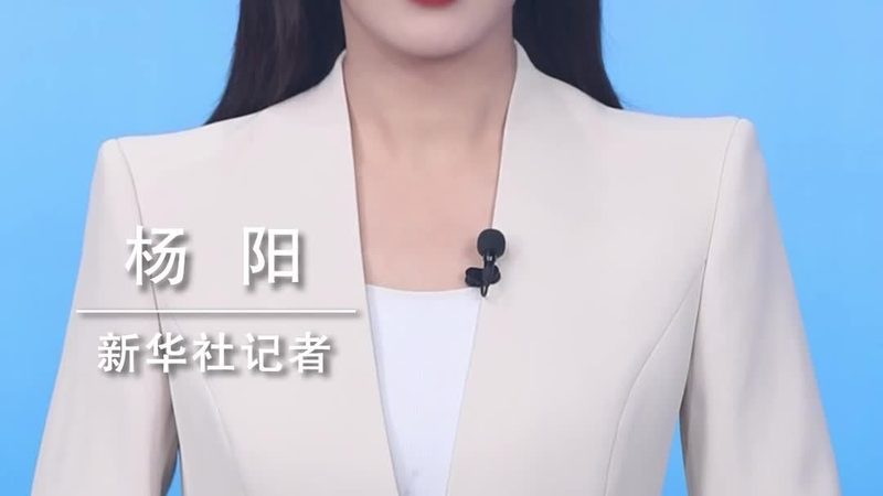 企业数据安全解决方案：成本考量与价值评估